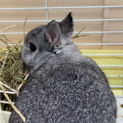 営業部 たぐちょ